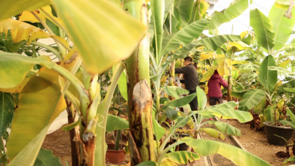 ▲'동네한바퀴' 완도(사진제공=KBS 1TV)