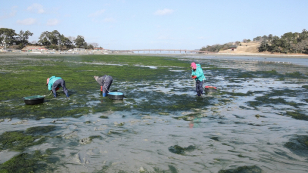 ▲'동네한바퀴' 완도(사진제공=KBS 1TV)