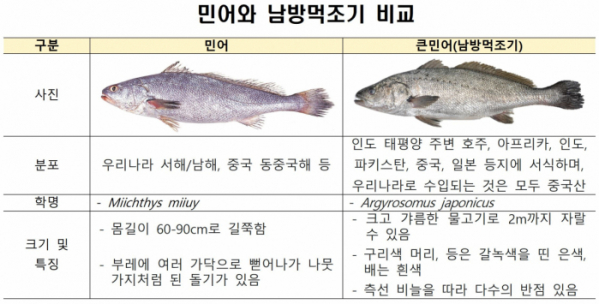 ▲국산 민어와 중국산 남방먹조기 비교 표. (사진제공=해양수산부)