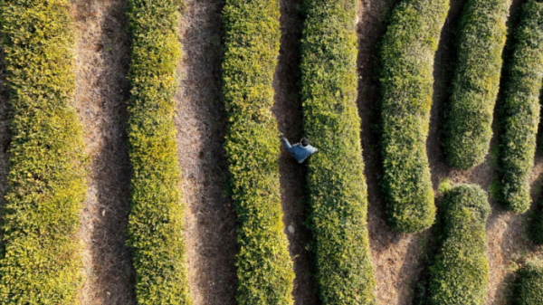 ▲'동네한바퀴' 보성(사진제공=KBS 1TV)