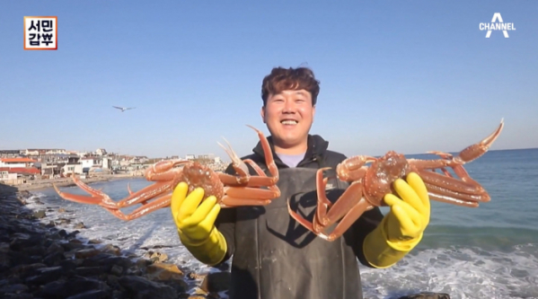▲'서민갑부' 포항 대게(사진제공=채널A)