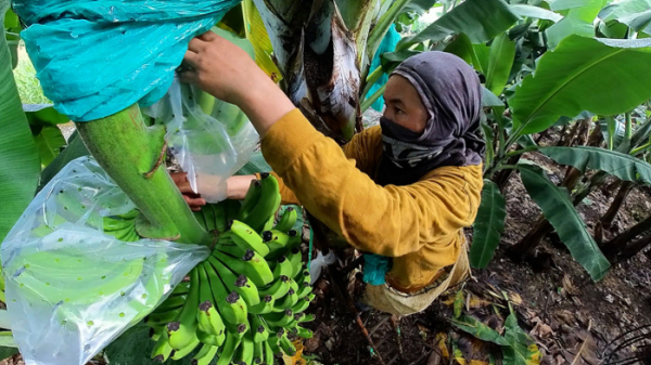 ▲'극한직업'(사진제공=EBS1)