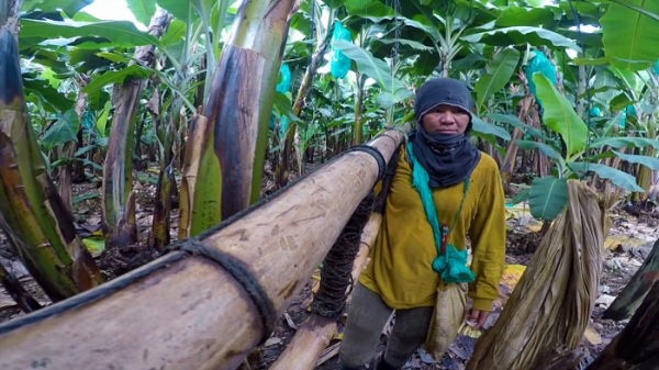 ▲'극한직업'(사진제공=EBS1)