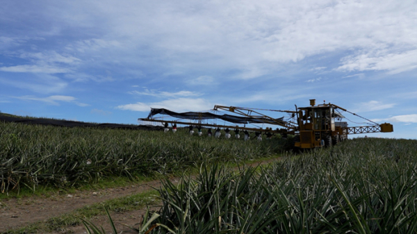 ▲'극한직업'(사진제공=EBS1)