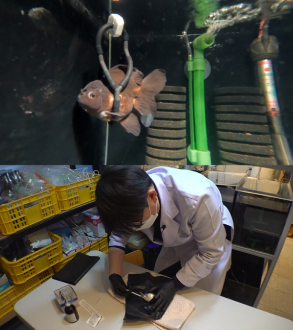 ▲'TV동물농장'(사진제공=SBS)