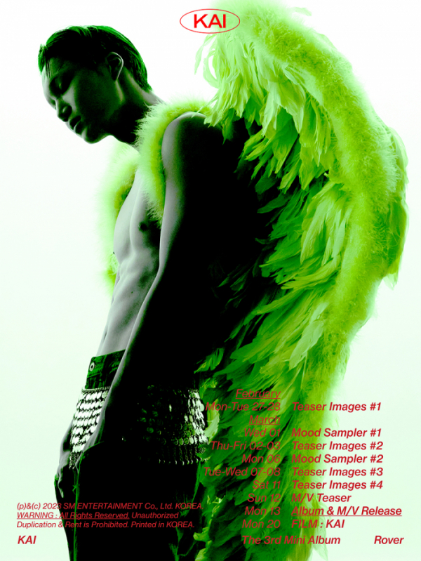 ▲엑소 카이(사진제공=SM엔터테인먼트)