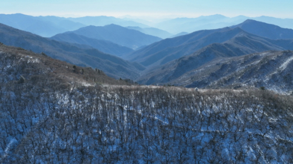 ▲'영상앨범 산' 지리산 국립공원(사진제공=KBS 2TV)