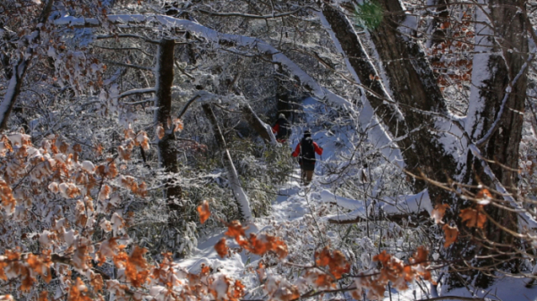 ▲'영상앨범 산' 지리산 국립공원(사진제공=KBS 2TV)
