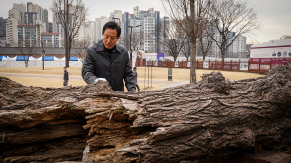 ▲서대문형무소역사관 앞 '통곡의 미루나무'를 찾은 오세훈 서울시장 (사진제공=서울시)