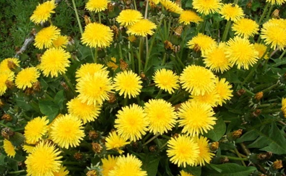 ▲'다큐프라임'(사진제공=MBC)