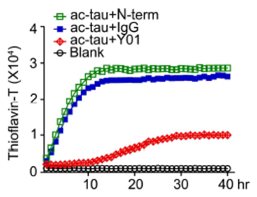 ▲타우 응집 80% 억제 효과를 보여준다. 빨간색=ADEL-Y01, 녹색=N-말단 항체, y축=타우 응집 정도이다. (아델)