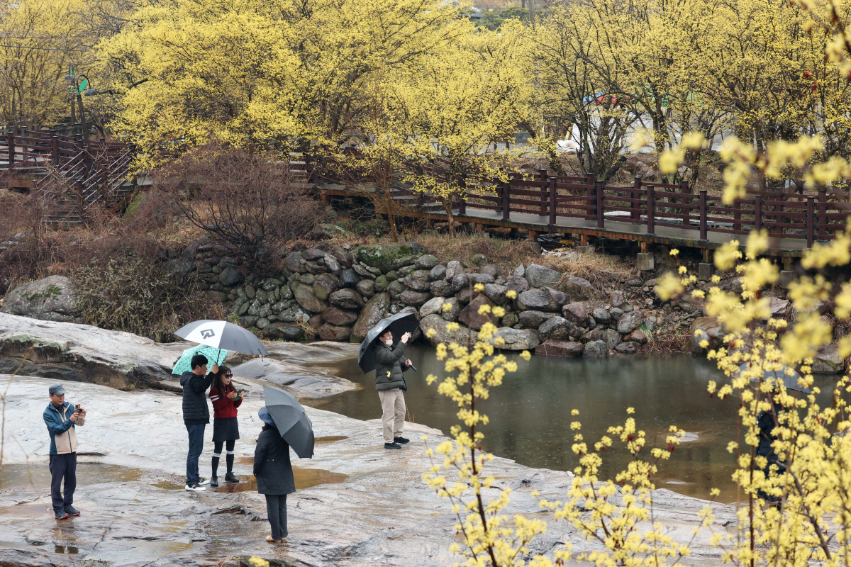 ▲신태현 기자 holjjak@