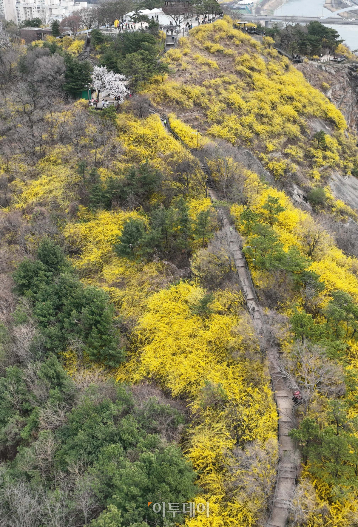 (조현호 기자 hyunho@)