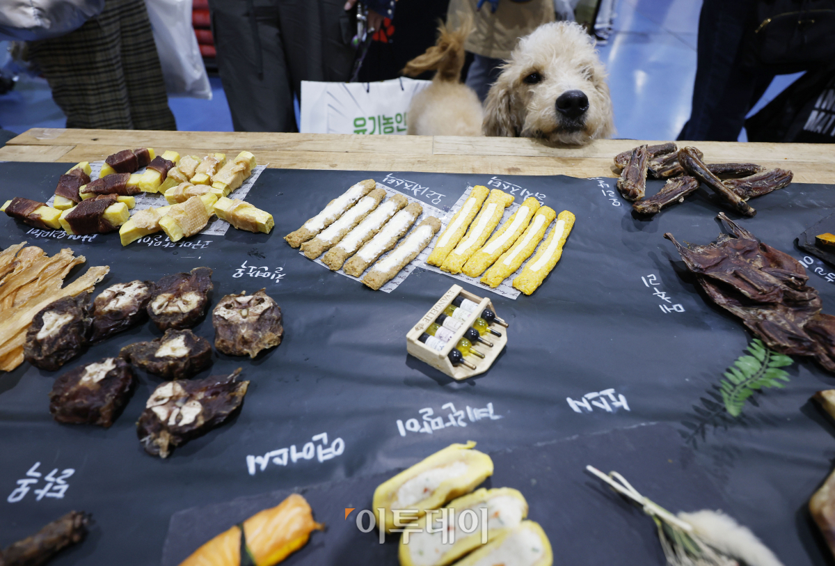 (조현호 기자 hyunho@)