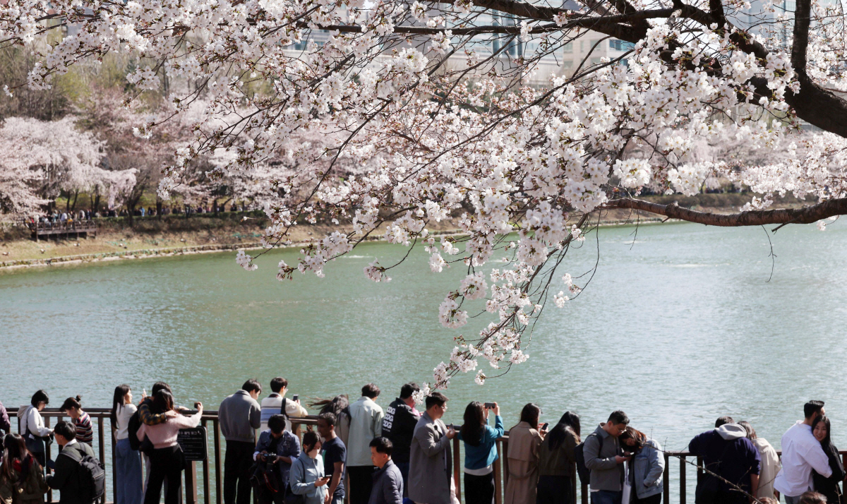 ▲고이란 기자 photoeran@