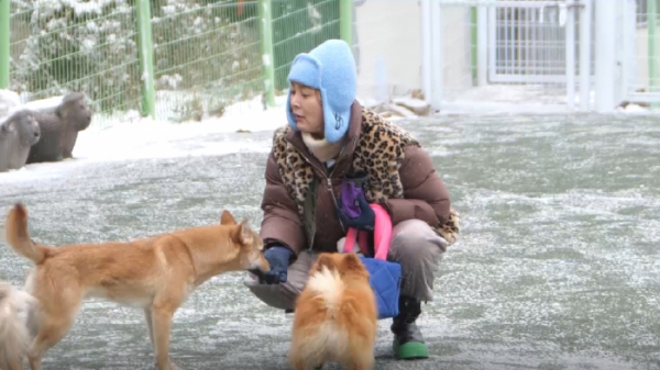 ▲'신랑수업' 서하준, 이승연(사진제공=채널A)