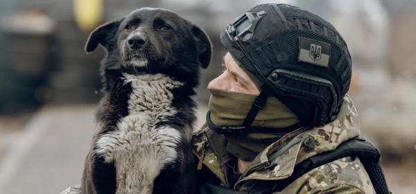 ▲우크라이나군이 구조한 강아지를 바라보고 있다. 출처 유애니멀스 홈페이지
