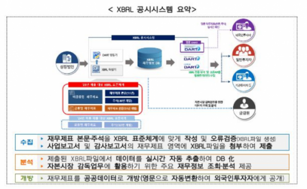 (자료제공=금융감독원)