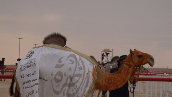 ▲'걸어서 세계속으로' 아랍에미리트(사진제공=KBS 1TV)