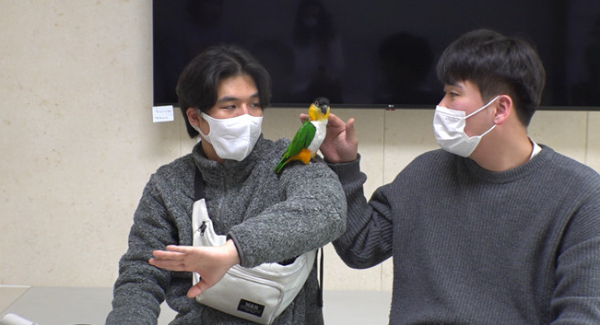 ▲'TV동물농장'(사진제공=SBS)