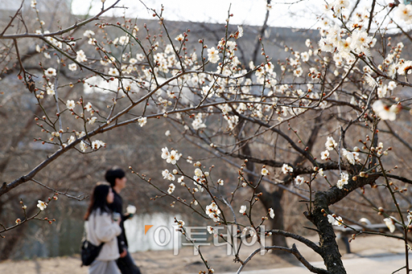 (고이란 기자 photoeran@ )