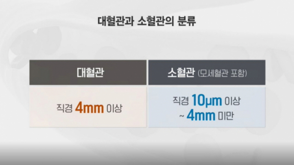 ▲'생로병사의 비밀'(사진제공=KBS 1TV)