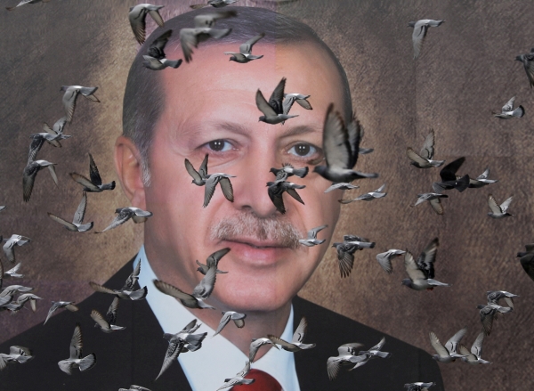 ▲튀르키예 부르사에 있는 레제프 타이이프 에르도안 튀르키예 대통령의 대형 포스터앞에 비둘기들이 날아다니고 있다. 부르사(튀르키예)/로이터연합뉴스
