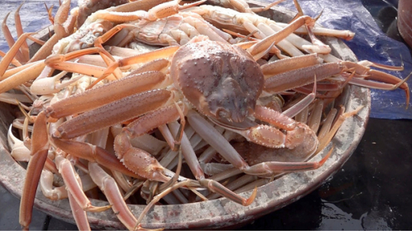 ▲'극한직업'(사진제공=EBS1)