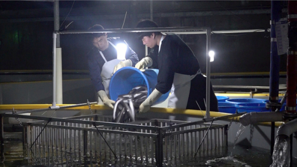 ▲'극한직업'(사진제공=EBS1)