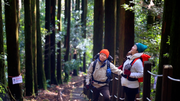 ▲'영상앨범 산'(사진제공=KBS 2TV)