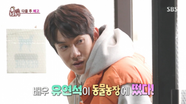 ▲'TV동물농장'(사진제공=SBS)