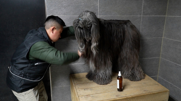 ▲'극한직업'(사진제공=EBS1)