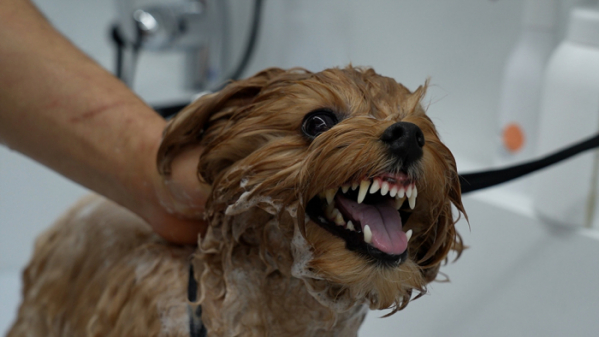 ▲'극한직업'(사진제공=EBS1)