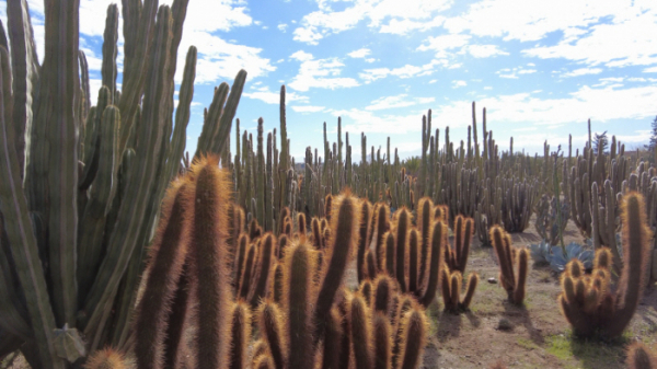 ▲'걸어서 세계속으로'(사진제공=KBS 1TV)