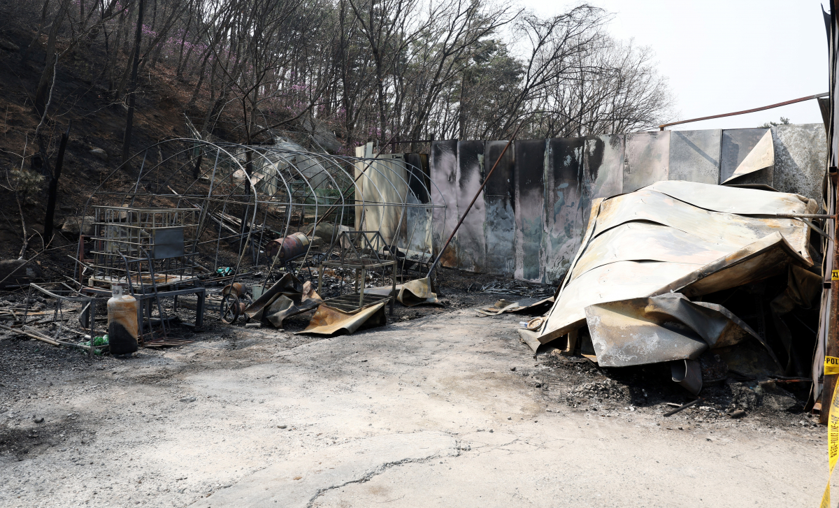 ▲지난달 29일 인천시 강화군 화도면 동막리 마니산 초입 마을 내 굿당 창고가 화재 피해로 폭삭 주저앉아 있다. 합동 감식팀은 이날 이곳에서 지난달 26일 발생한 산불의 원인을 찾기 위한 현장 감식을 진행했다. 연합뉴스