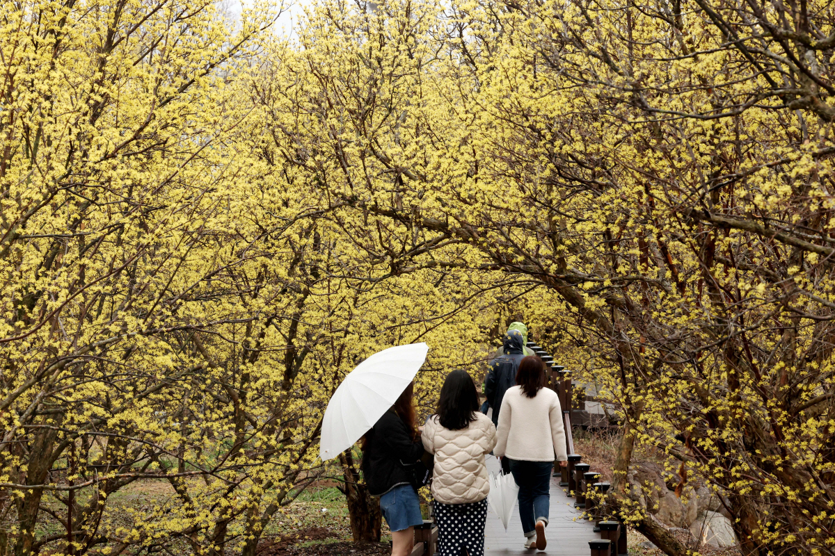 ▲신태현 기자 holjjak@
