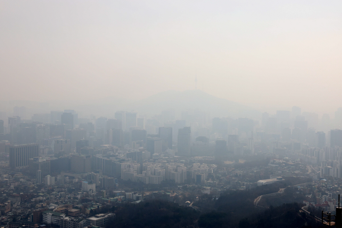 ▲신태현 기자 holjjak@