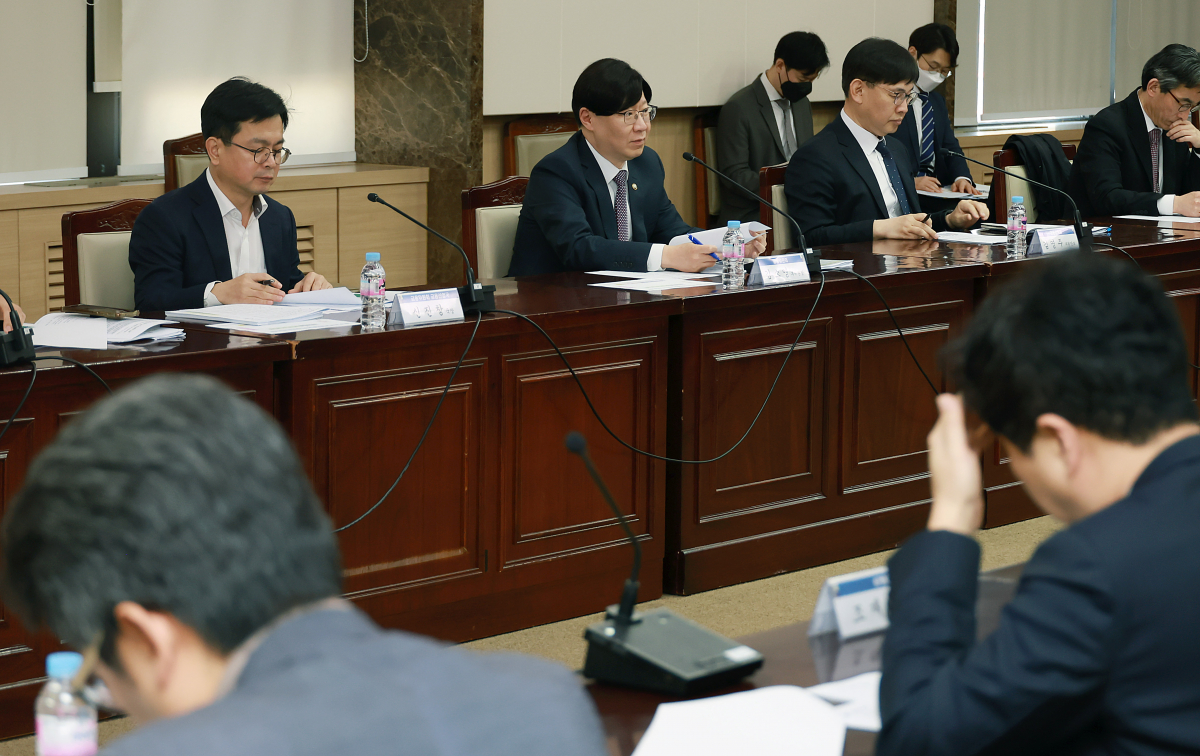 ▲김소영 금융위원회 부위원장(왼쪽서 두 번째)이 12일 열린 '은행권 경영·영업 관행·제도 개선 TF 5차 실무작업반 회의'에서 발언하고 있다. (사진제공=금융위원회)