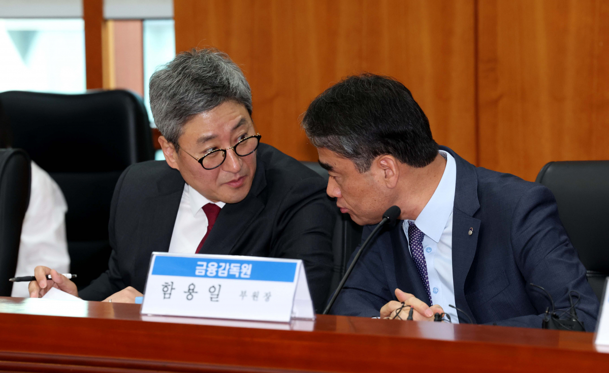 ▲함용일(오른쪽) 금융감독원 부원장과 김정태 부원장보가 28일 서울 여의도 금융투자협회에서 열린 ‘금감원-증권사CEO 현안 간담회’에 앞서 대화하고 있다. 신태현 기자 holjjak@