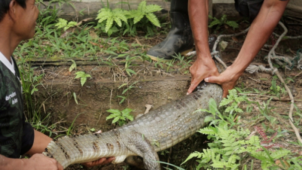 ▲'특파원보고 세계는 지금'(사진제공=KBS 1TV)