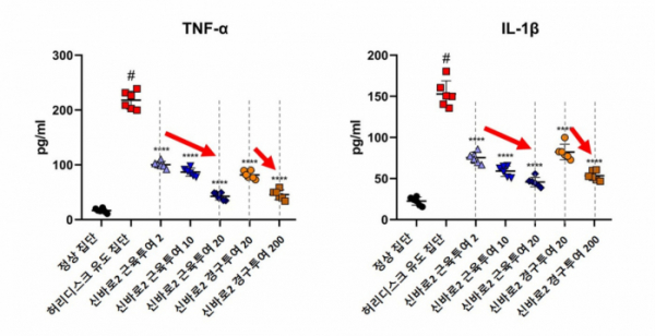 ▲신바로2 약침액 농도가 높아질수록 TNF-α와 IL-1β의 발현량이 유의미하게 감소했다. (자생한방병원)