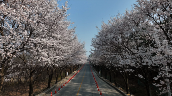 ▲'동네한바퀴' 여주(사진제공=KBS 1TV)