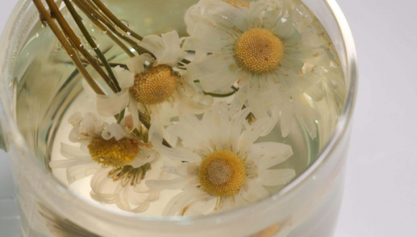 ▲'서민갑부' (사진제공=채널A)