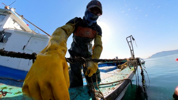 ▲'극한직업'(사진제공=EBS1)