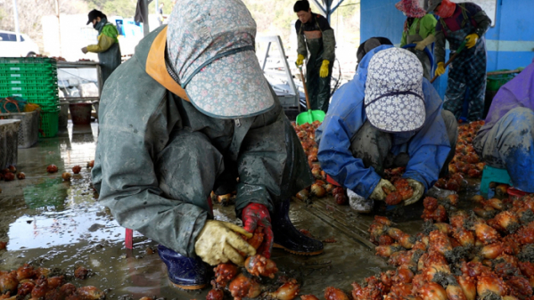 ▲'극한직업'(사진제공=EBS1)