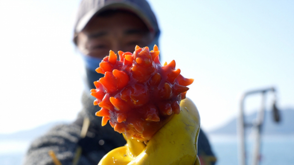 ▲'극한직업'(사진제공=EBS1)