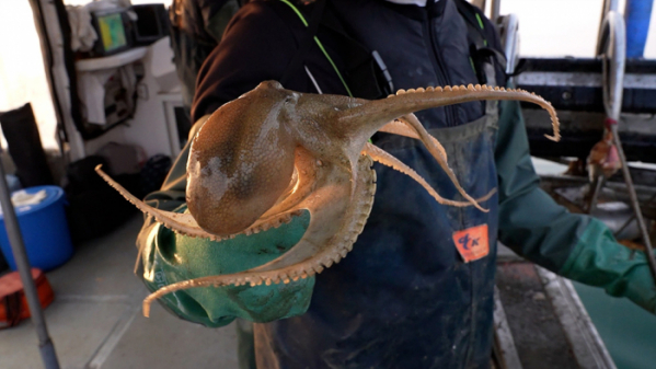 ▲'극한직업'(사진제공=EBS1)