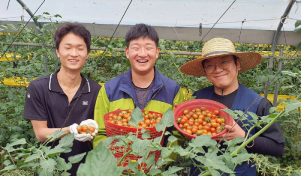 ▲농업회사법인팜팜의 직원들이 수확한 토마토를 들고 웃고 있다. (사진제공=쿠팡)
