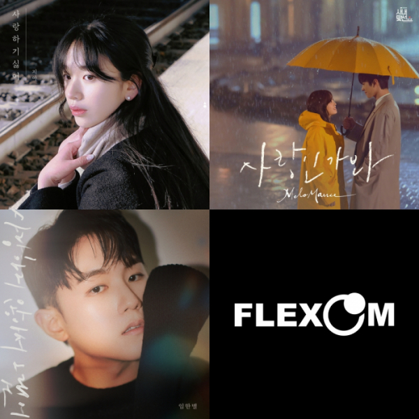 (사진 = 플렉스엠 제공)