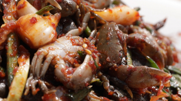 ▲'한국인의 밥상' 보령 호도, 녹도(사진제공=KBS 1TV)